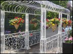 Hanging Baskets  040