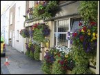 Hanging Baskets  048