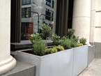 Herb Displays  031