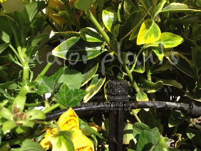 Irrigation Systems_image_008