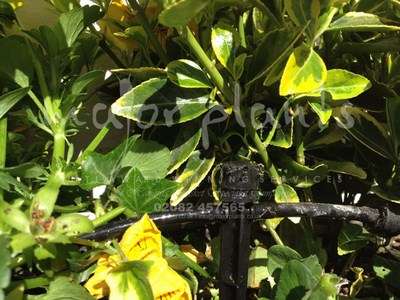 Irrigation Systems_image_009