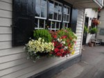 Our Customers  087