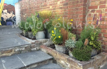 Pots and Troughs_image_016