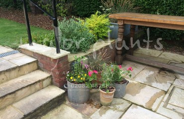 Pots and Troughs_image_034