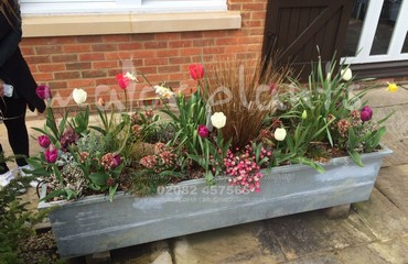 Pots and Troughs_image_051
