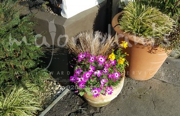 Pots and Troughs_image_055