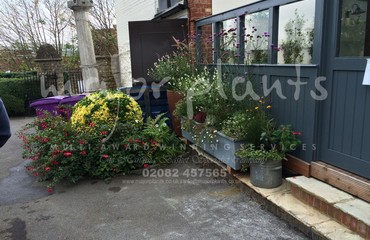 Pots and Troughs_image_076