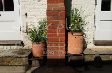 Pots and Troughs_image_127