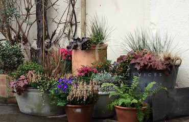 Pots and Troughs_image_142
