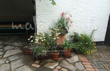 Pots and Troughs_image_155