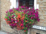 Window Boxes  033