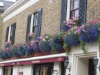 Window Boxes  034