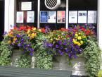 Window Boxes  044